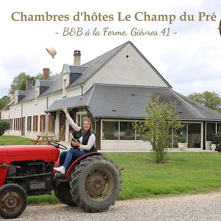 Le Champ Du Pre Bed and Breakfast Gièvres Eksteriør billede