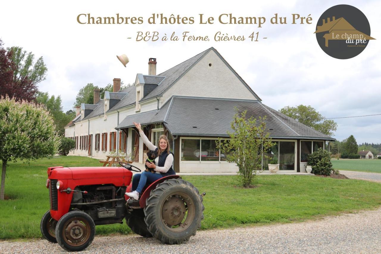 Le Champ Du Pre Bed and Breakfast Gièvres Eksteriør billede